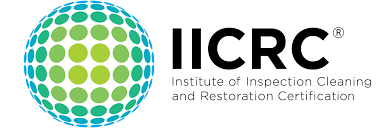 logo institute of Inspection and restoration