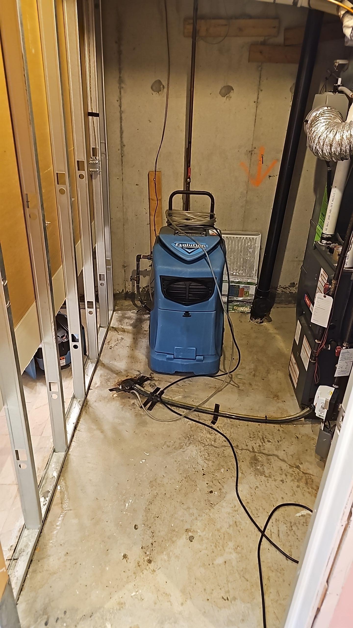 basement furnace room sewage pack up repair