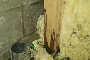 Basement flood from sump pump failure in Toronto — 247-365 Restoration drying and mold prevention.